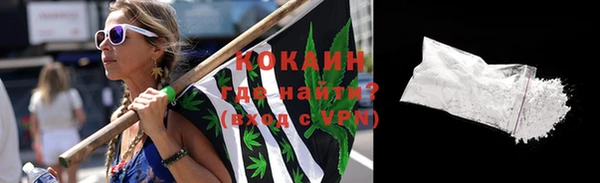 стафф Богданович