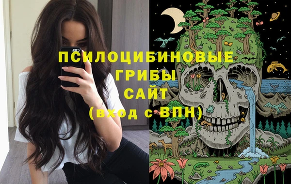 стафф Богданович
