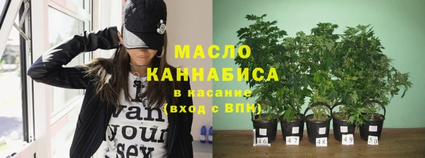 стафф Богданович