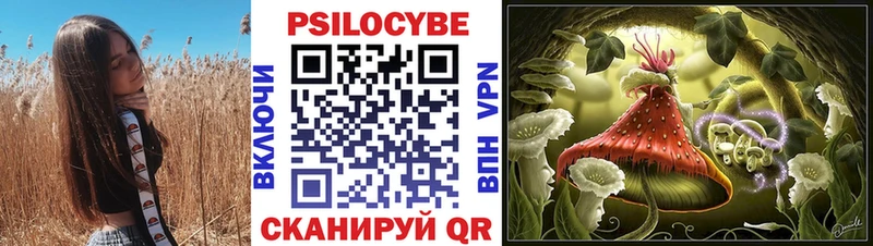 Псилоцибиновые грибы GOLDEN TEACHER  цены   Малмыж 