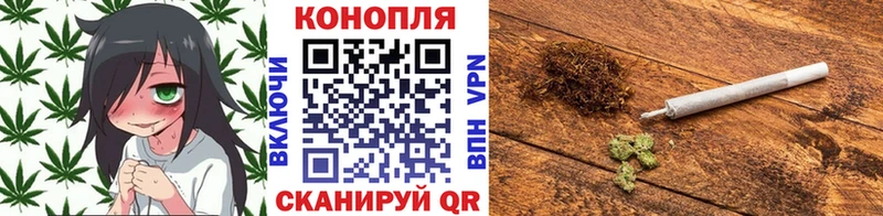 Канабис сатива  купить закладку  Малмыж 
